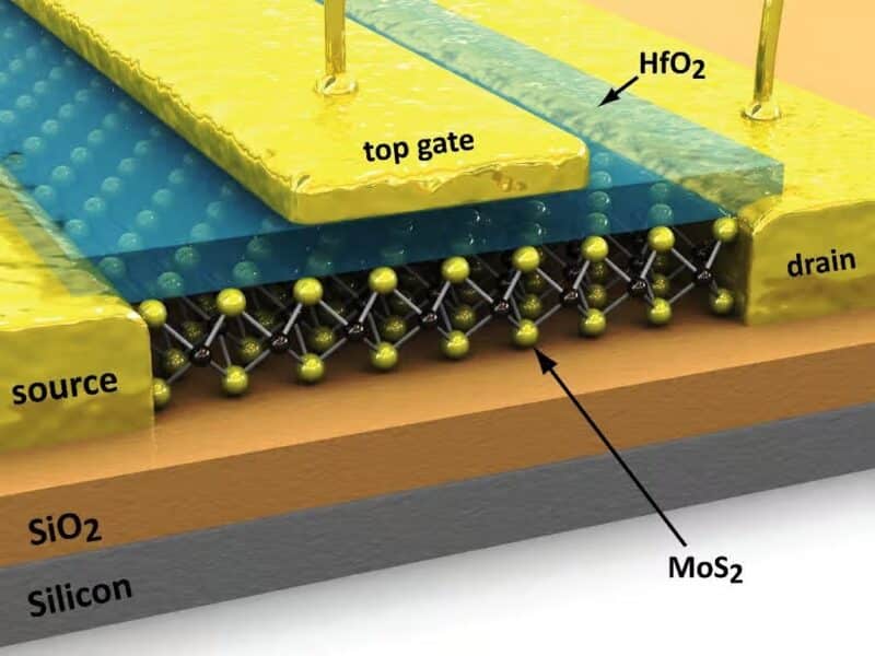 Transistors MoS₂ Technologie des semi-conducteurs Fabrication de FETs